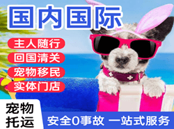 阿尔山伊尔施航空运输国际宠物托运 【国